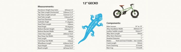 Cleary Gecko 12